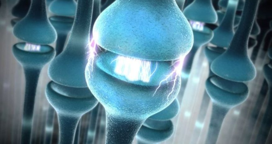 'Hacking nerves can control disease'