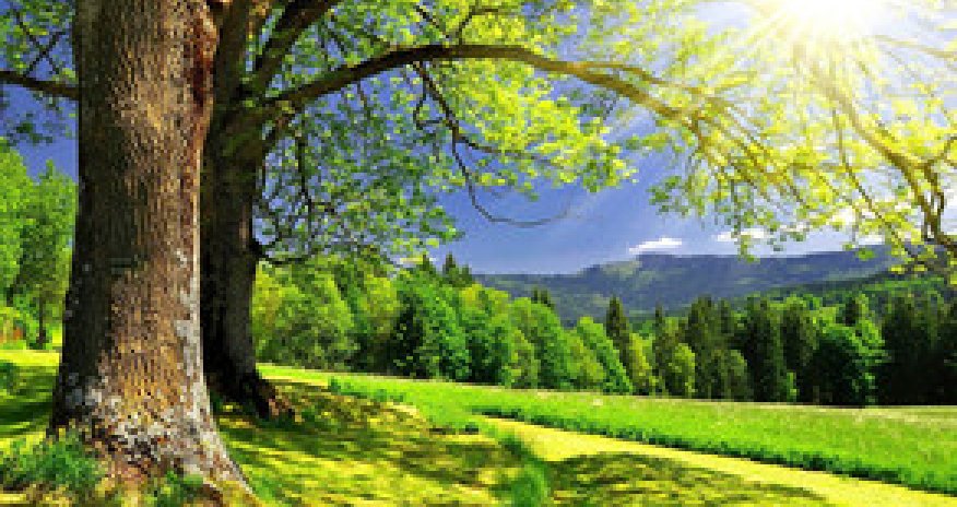 Baku weather forecast for August 4