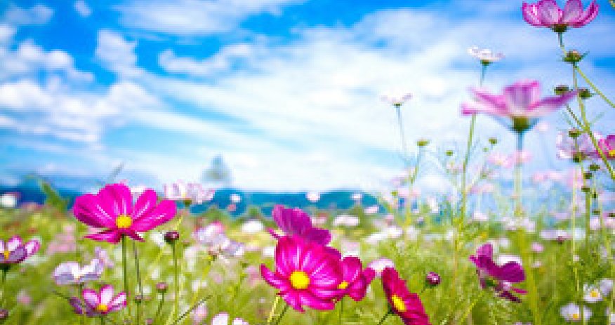 Baku weather forecast for August 13