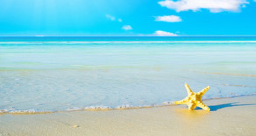 Baku weather forecast for August 19