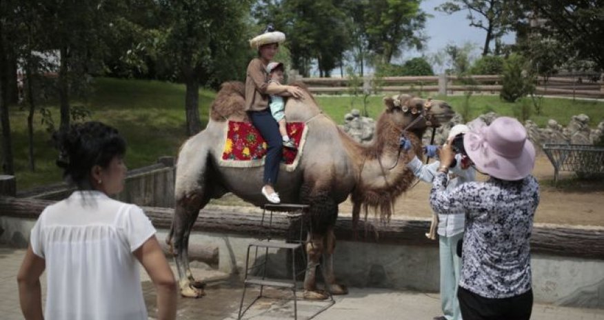 North Korea's national zoo: Donkeys, dinosaurs and dogs