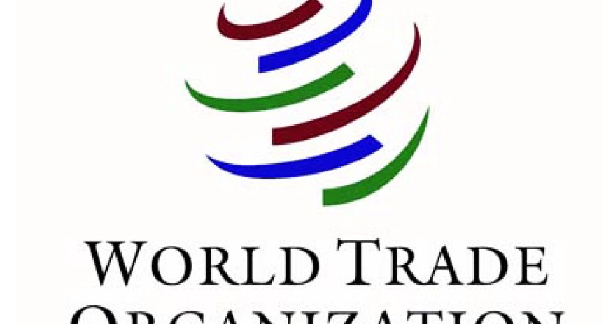 Azerbaijan, WTO to hold discussions after mid-2017