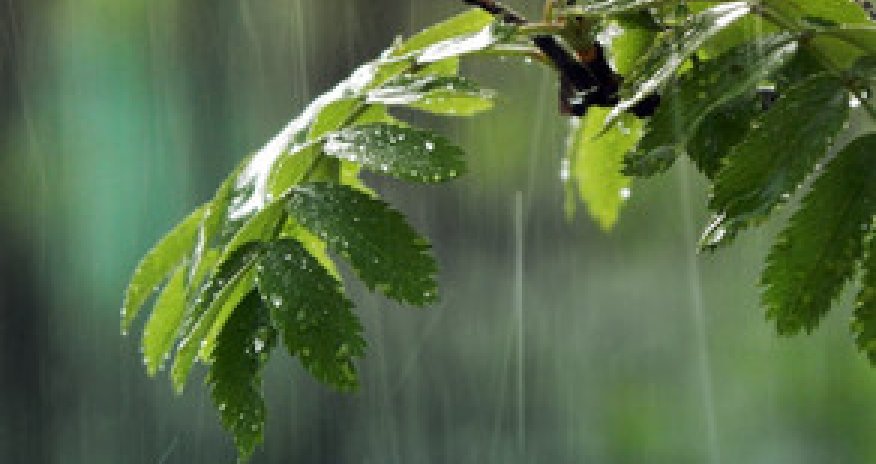 Baku weather forecast for August 26