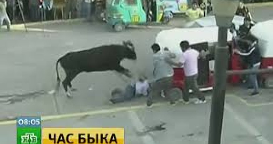 Побоище на фестивале быков - ВИДЕО