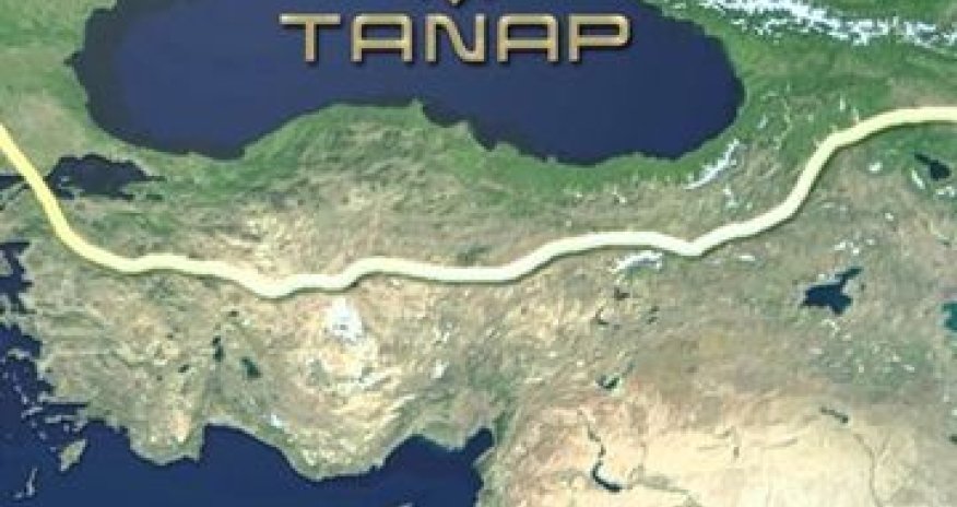 TANAP employees break world record