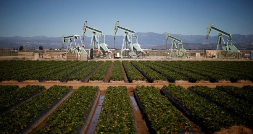 Oil pulls back after big jump on U.S. crude stock draw