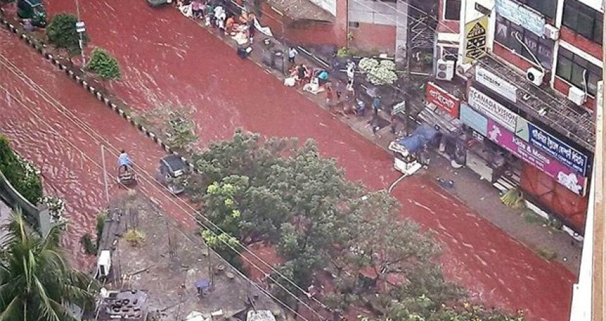 Реки крови после Гурбан-байрамы - ВИДЕО