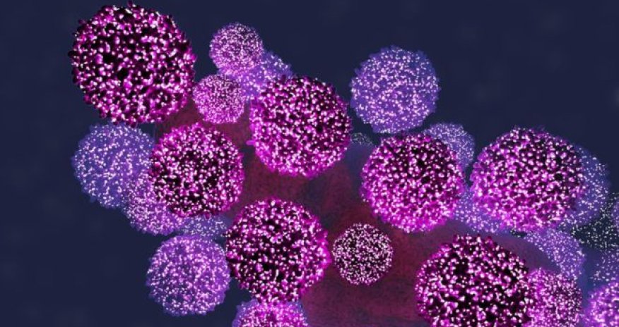 One in 10 children has 'Aids defence'