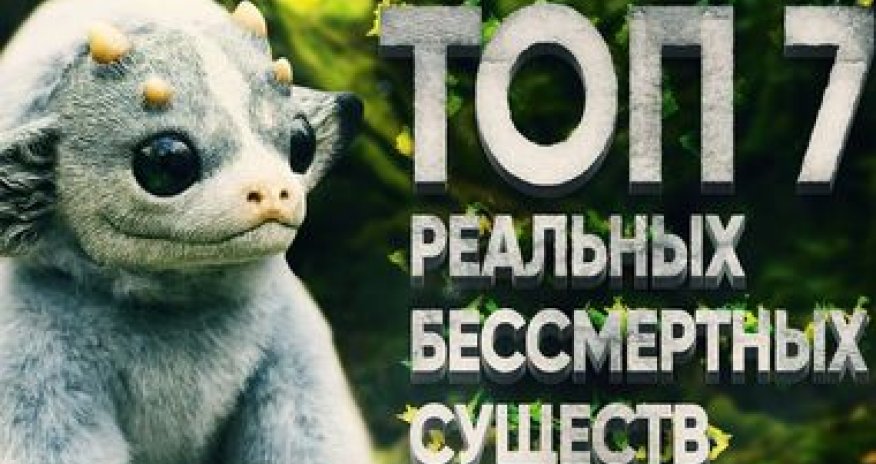 Бессмертные существа Земли - ВИДЕО