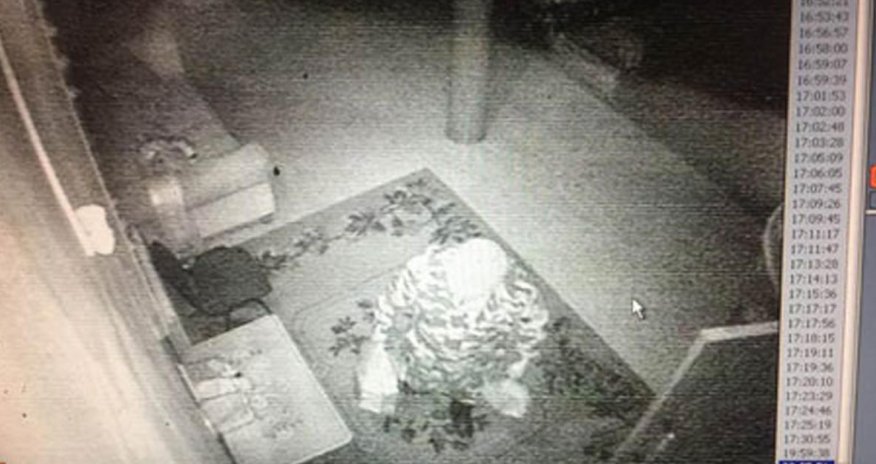 Инцидент с древней мумией - ВИДЕО