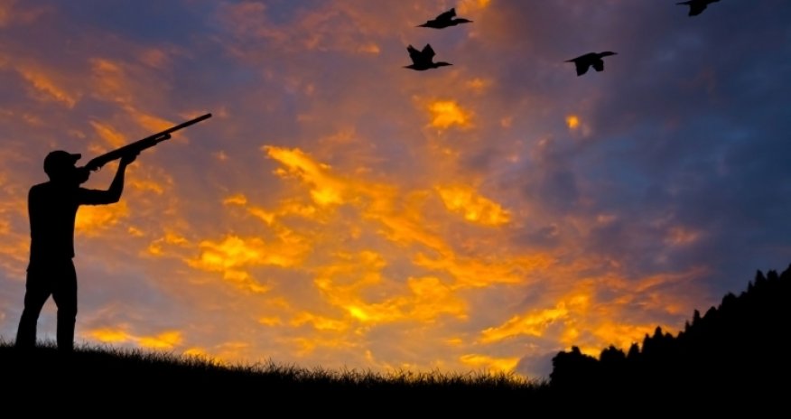 Azerbaijan detains Iraqi citizens for illegal hunting