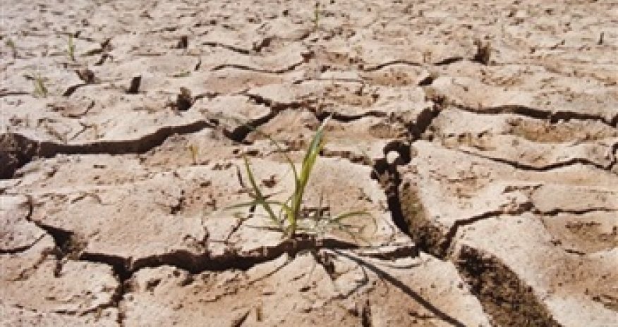 Catastrophe looms as 850,000 go hungry, says UN - Madagascar drought