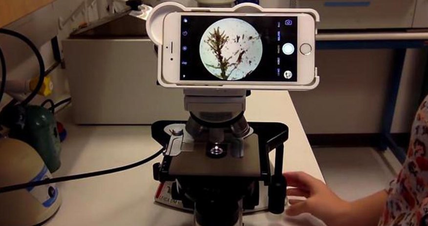 Ученые скрестили iPhone и микроскоп - ВИДЕО