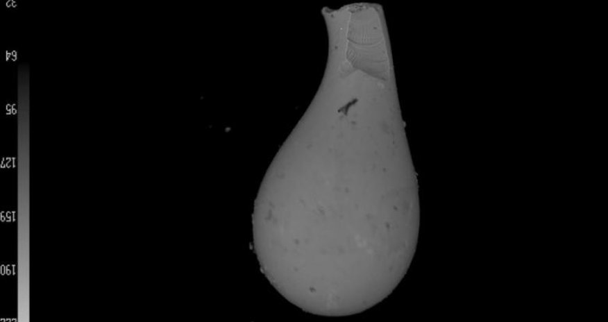 Blast from the past: comet may have hit Earth 56 million years ago