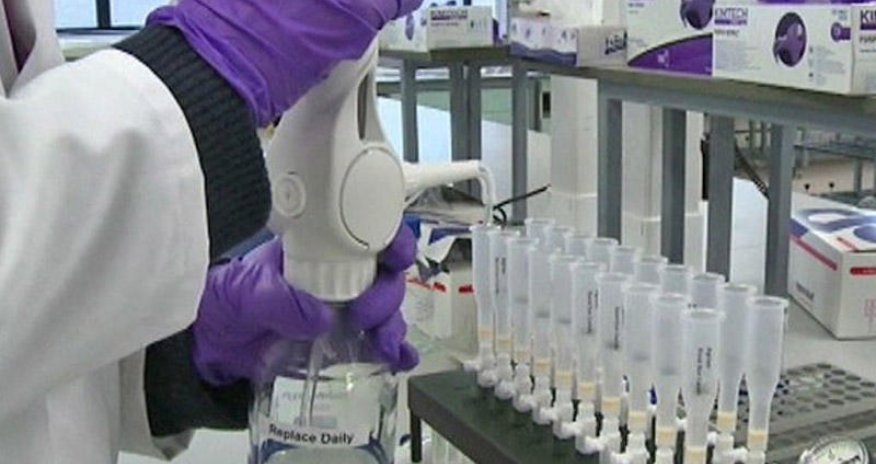 Doppinqlə mübarizə SƏRTLƏŞDİRİLDİ