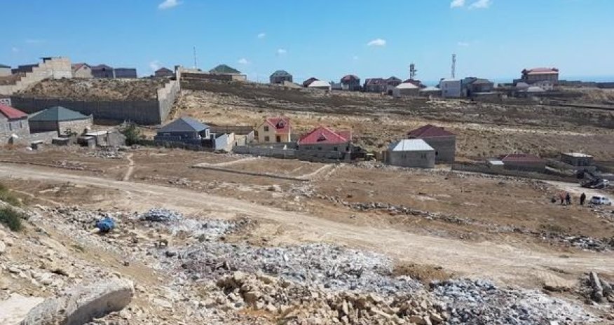 Badamdarı sökürlər – FOTOLAR