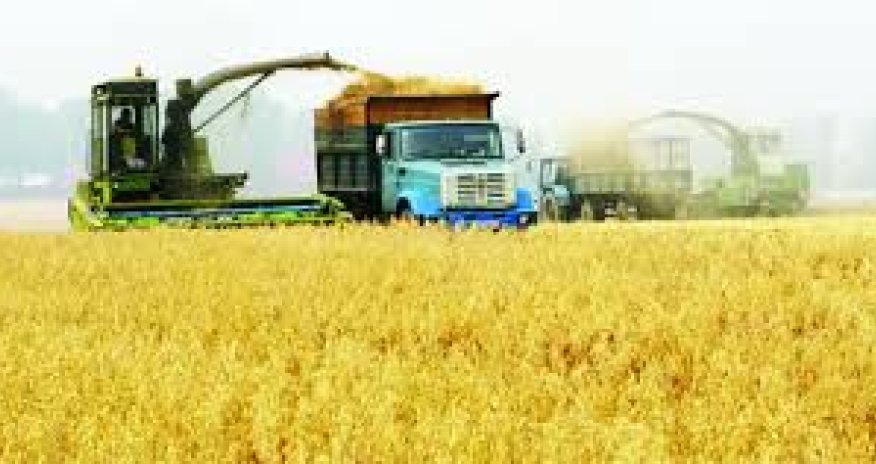 Azerbaijani agriculture supplies to Russia in Jan-Aug up by 25%