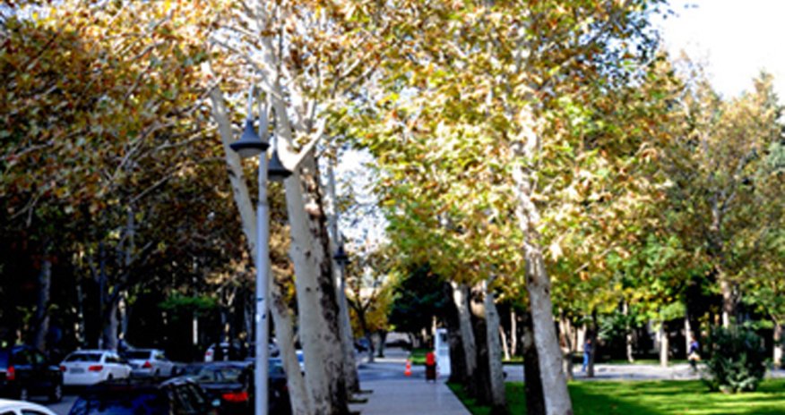 Baku weather forecast for Nov.4