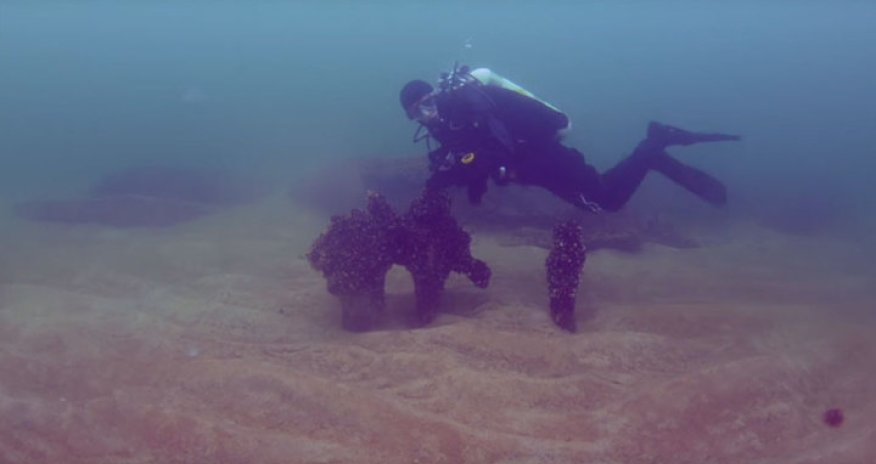 На дне моря нашли поселение - ВИДЕО