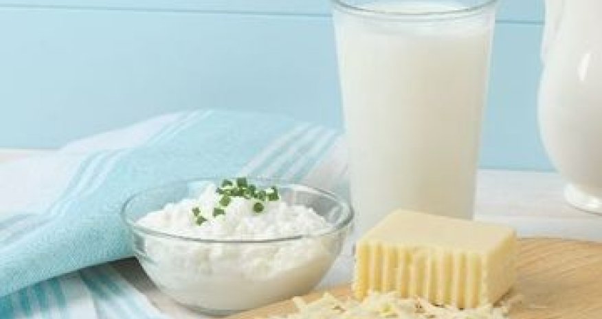 Azerbaijan creates new brand of dairy products