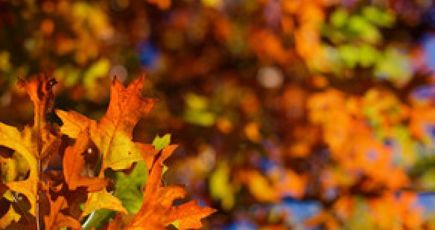 Baku weather forecast for Nov. 18