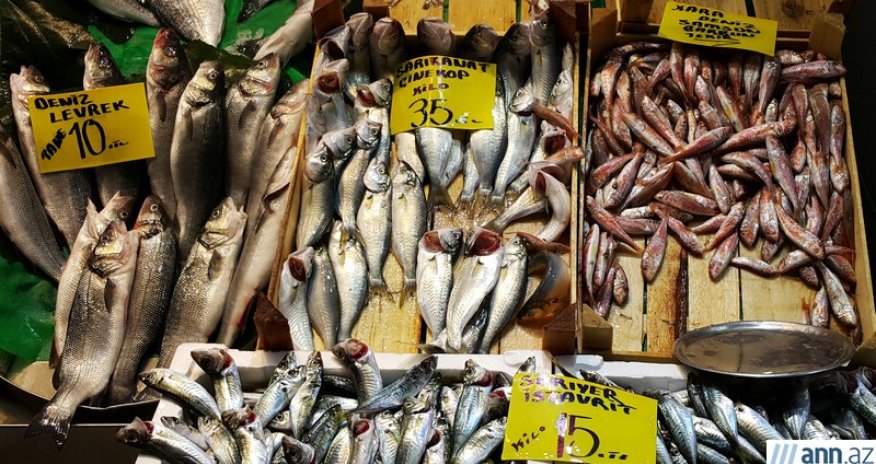 Рыбный рынок: морское изобилие на пристани Каракей - ФОТО