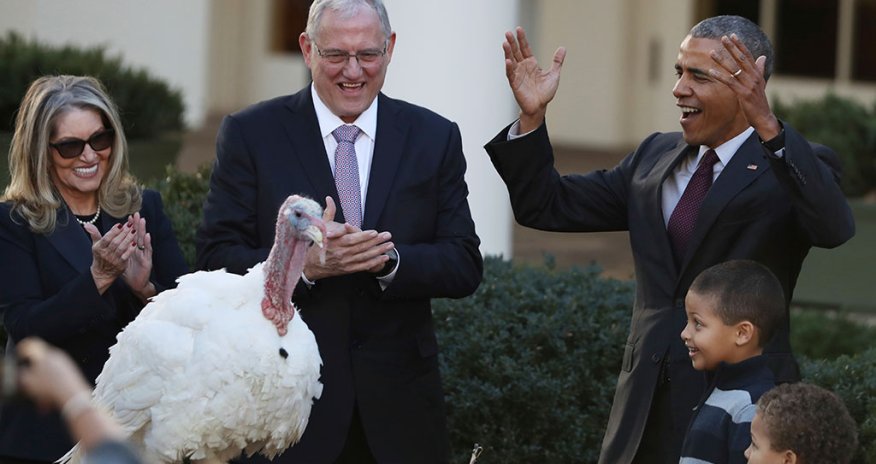 Обама помиловал индейку - ВИДЕО