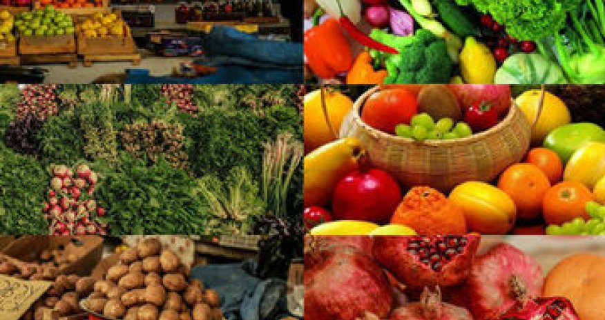 Portal on local production and producers to be created in Azerbaijan