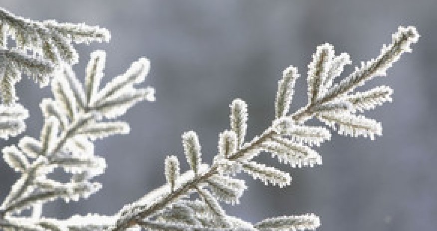 Baku weather forecast for Dec.20