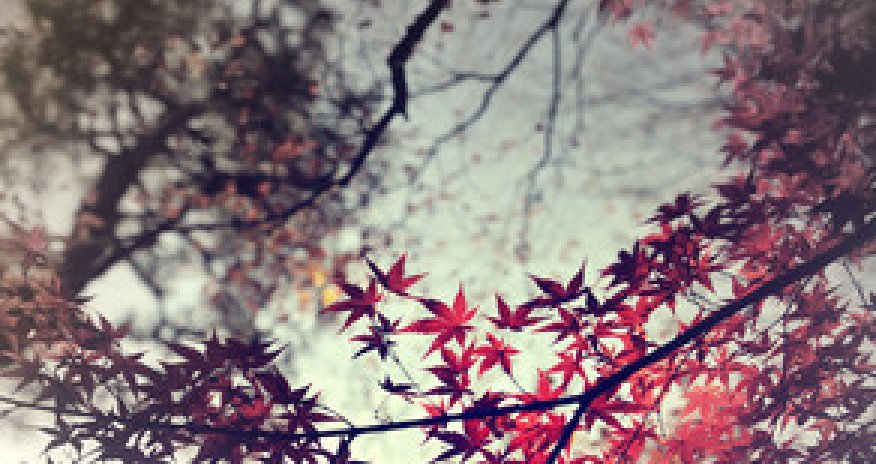 Baku weather forecast for Dec.21