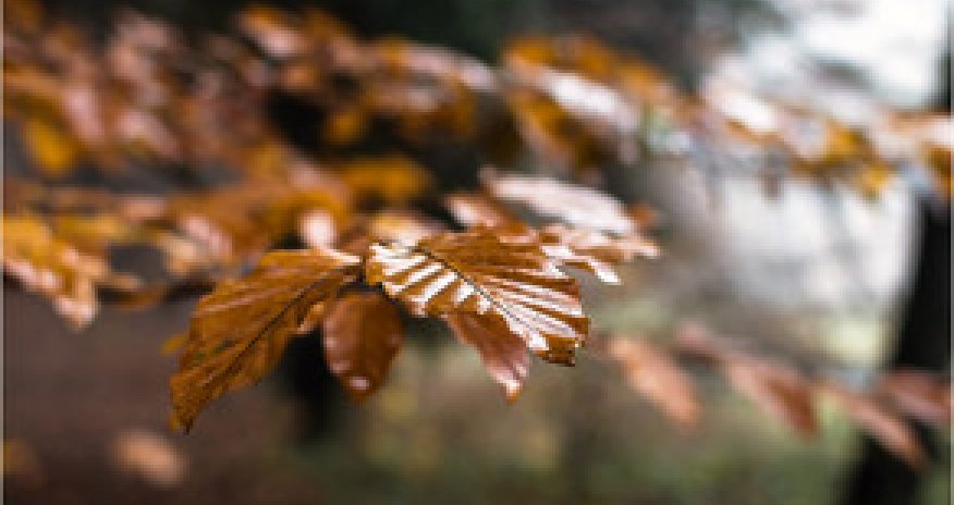 Baku weather forecast for Dec.28