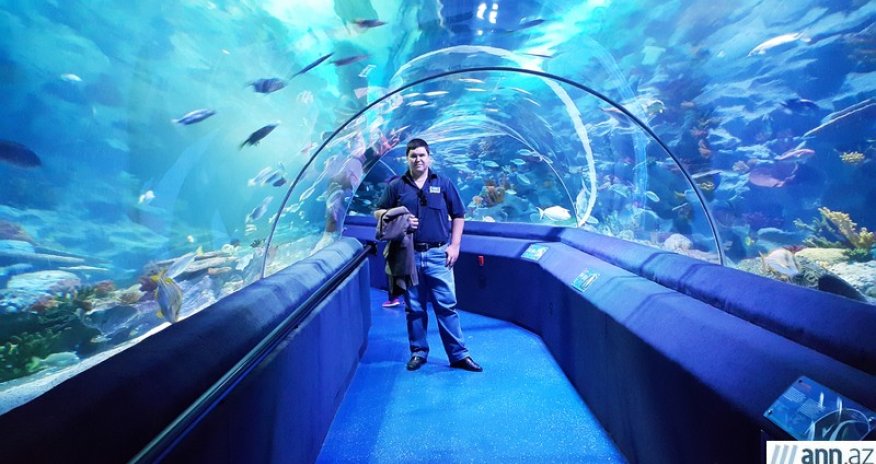 Путешествие в подводное царство TurkuaZoo– ФОТО