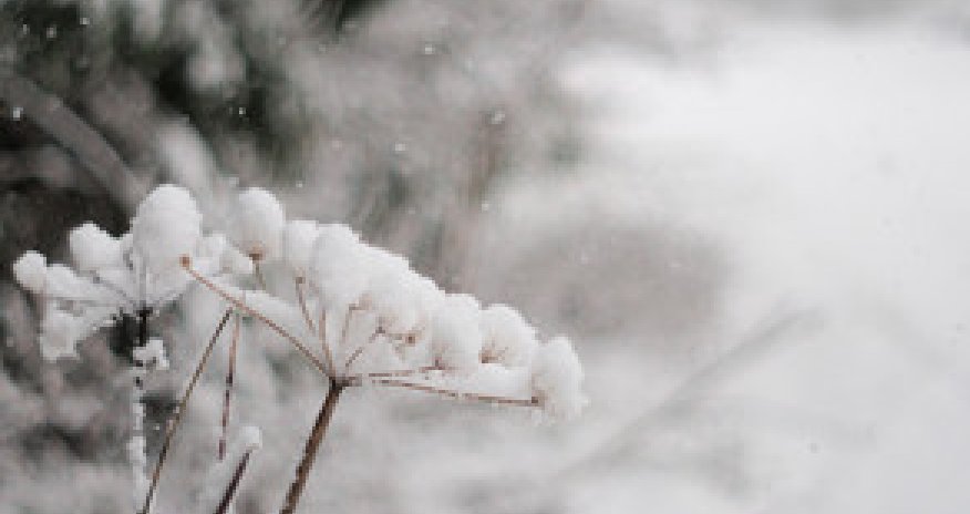 Baku weather forecast for Jan.26