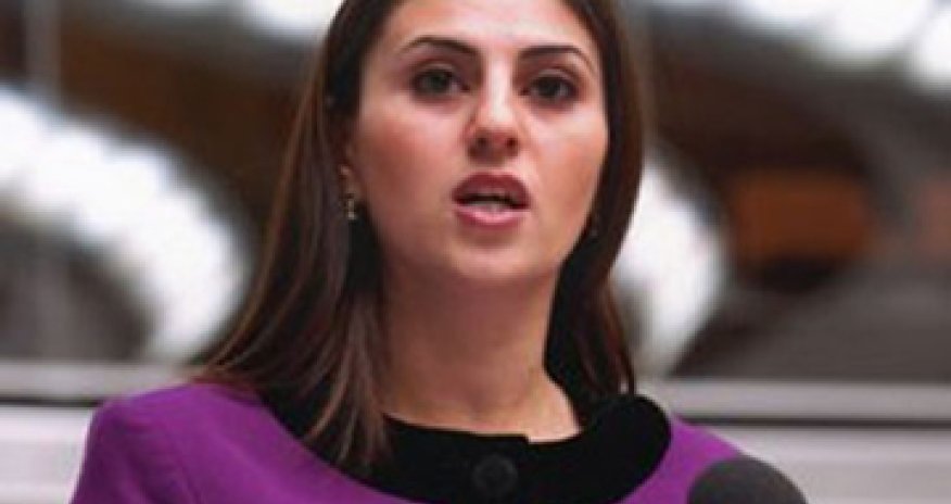 Azerbaijan talks in PACE about Armenian atrocities