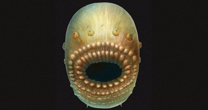 Your oldest ancestor was really weird and had a big mouth