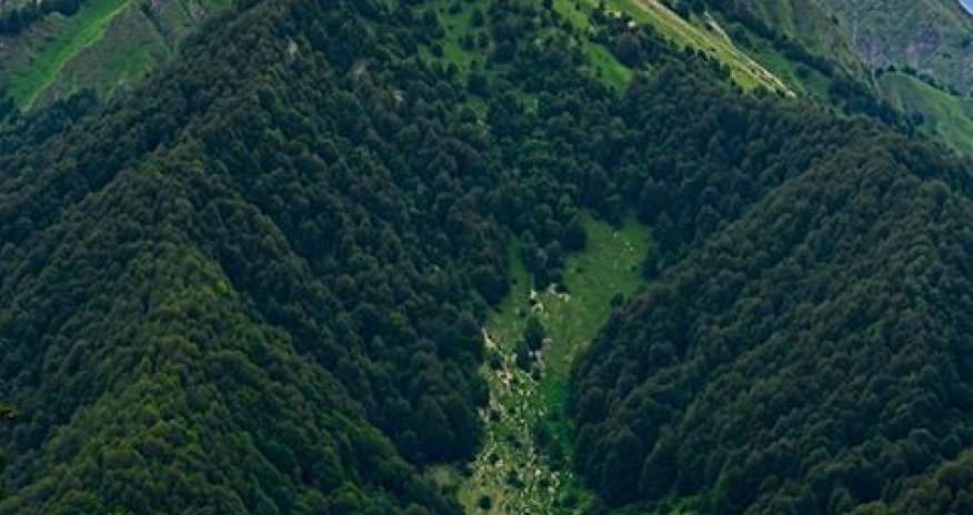 Dubaydan Qəbələyə birbaşa aviareys açılır