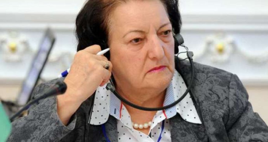 Elmira Süleymanova vəzifədən gedir