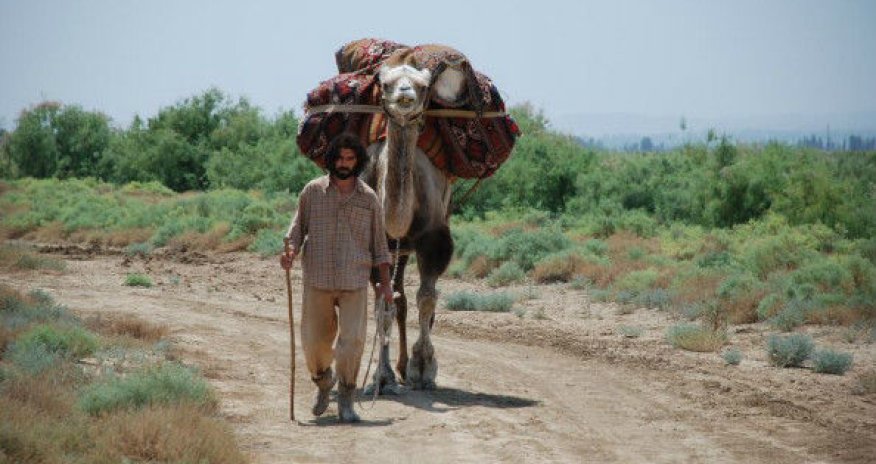 “Çölçü” Hindistanda “Ən yaxşı bədii film” mükafatına layiq görülüb