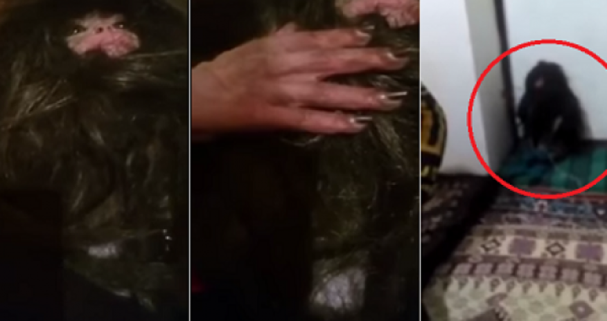 Azərbaycanda “Qar adamı” tutuldu  – VİDEO