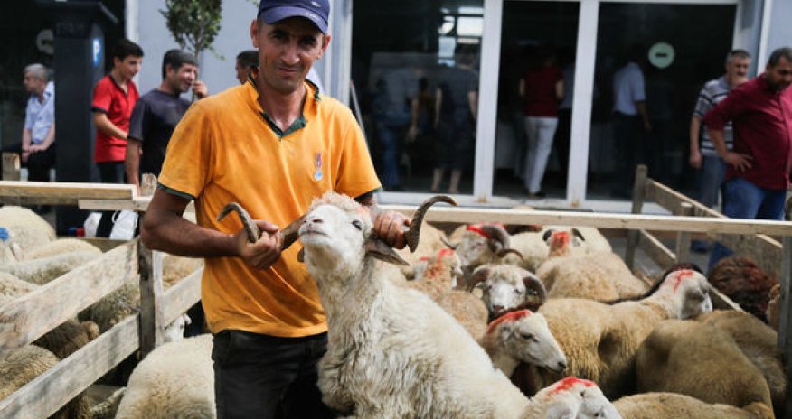 Bakıda Qurban bayramı keçirilir – FOTOREPORTAJ
