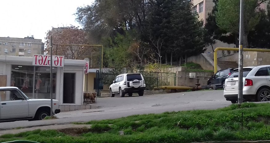 Bakınin qanunsuz sallaqxanaları - FOTO