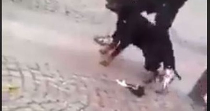 İt şəhərin mərkəzində azyaşlıya hücum etdi – VİDEO