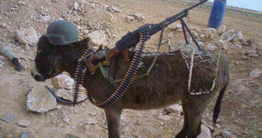 Ermənilər eşşəyi özəlləşdirdilər