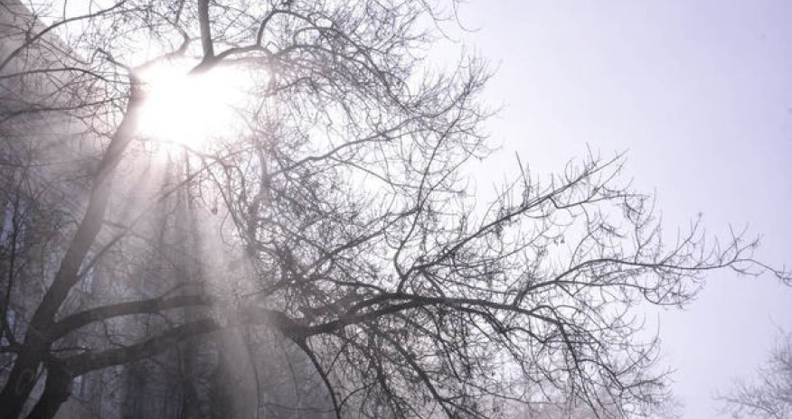 В Баку будет тепло