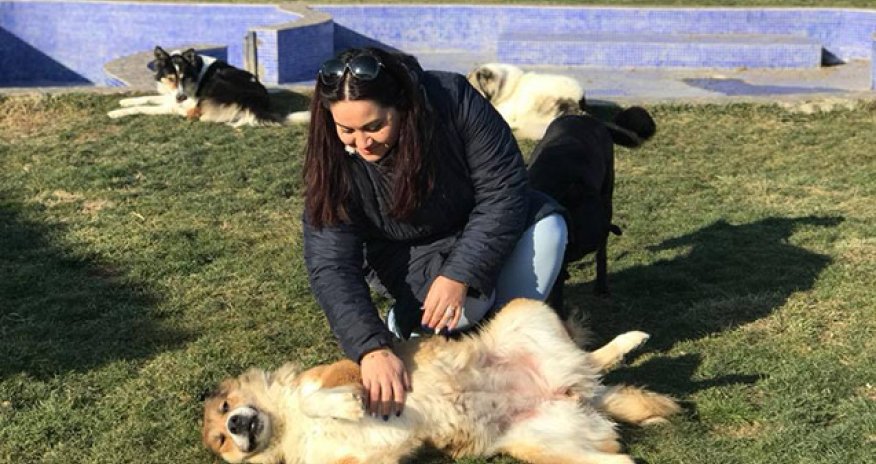 AARC 9 ildən sonra bağlanır