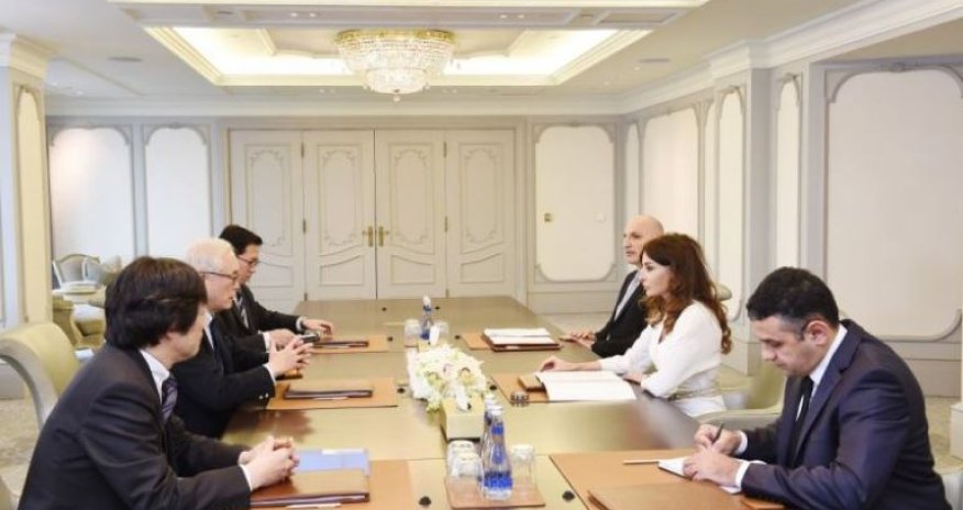 Mehriban Əliyeva Yaponiya rəsmisi ilə görüşüb - FOTOLAR