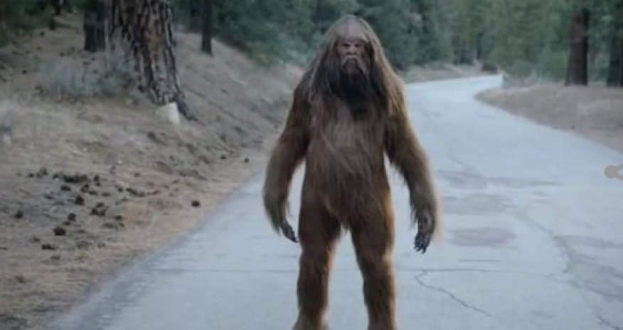 Xınalıqda qorxulu bədheybət peyda olub - VİDEO