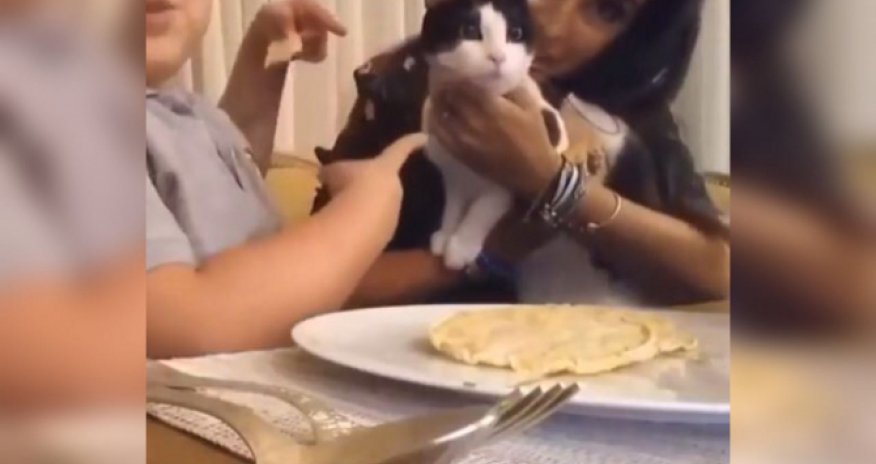 Leyla Əliyeva və oğlundan maraqlı VİDEO