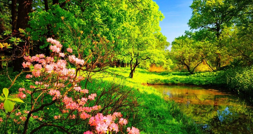 Weather forecast for tomorrow in Azerbaijan announced