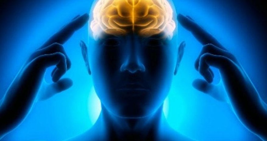 Bu qidalar beyni məhv edir - UZAQ DURUN